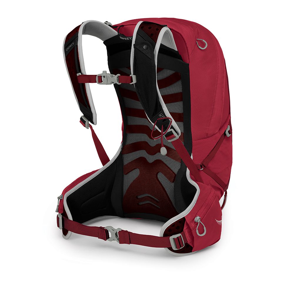 Osprey Talon 22 - Image 2